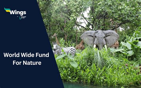 is world wildlife fund non profit|World Wide Fund for Nature .